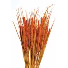 SPRAY MILLET 28" Autumn-OUT OF STOCK